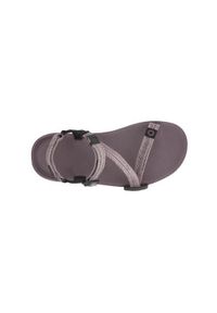 XERO SHOES - Buty do chodzenia damskie Xero Shoes Z trail Ev Altrosa. Zapięcie: rzepy. Kolor: brązowy. Materiał: materiał, syntetyk. Sport: turystyka piesza