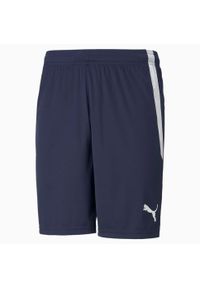 Spodenki męskie Puma teamLIGA. Kolor: żółty, wielokolorowy, czarny