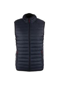 VESTEM - Kamizelka męska Athl. Dept. Henry Night Blue S. Kolor: niebieski. Materiał: puch. Długość rękawa: bez rękawów. Sezon: wiosna, jesień #1