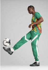 Puma - Męskie spodnie przedmeczowe Senegal 2025 PUMA Sport Green White. Kolor: biały, wielokolorowy, zielony