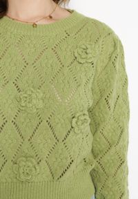 Born2be - Zielony Sweter z Aplikacją 3D w Kształcie Kwiatów Trismos. Kolor: zielony. Wzór: aplikacja, kwiaty. Styl: klasyczny #3