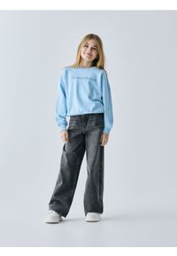 Reserved - Bluza z nadrukiem - jasnoniebieski. Kolor: niebieski. Materiał: bawełna, dzianina. Wzór: nadruk