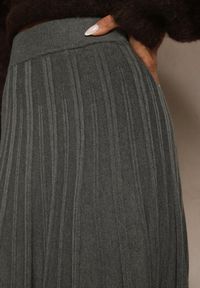 Renee - Ciemnoszara Dzianinowa Spódnica Plisowana o Rozkloszowanym Kroju Tuswia. Okazja: na co dzień. Stan: podwyższony. Kolor: szary. Materiał: dzianina. Wzór: aplikacja. Styl: klasyczny, casual #2