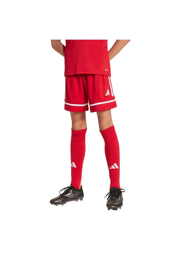 Spodenki Adidas Sport Squa25 Sho Y Dzieci. Kolor: czerwony, biały, wielokolorowy. Długość: krótkie. Styl: sportowy