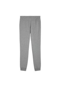 Puma - Damskie Spodnie Do Biegania Team Goal Casuals. Kolor: szary. Sport: turystyka piesza