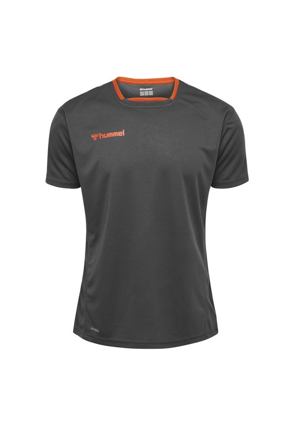 Jersey Hummel enfant hmlAUTHENTIC Poly HML. Kolor: szary. Materiał: jersey. Sport: fitness, piłka nożna