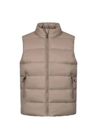 TRESPASS - Bezrękawnik Damski Pikowany Casual Simone. Okazja: na co dzień. Kolor: beżowy. Materiał: puch. Długość rękawa: bez rękawów. Styl: casual #1