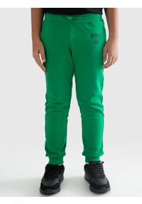 Big-Star - Spodnie chłopięce dresowe ze ściągaczem zielone Olalus 301/ Jefferson 301. Okazja: na co dzień. Kolor: zielony. Materiał: dresówka. Wzór: haft. Styl: casual, elegancki #6