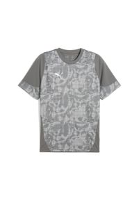 Koszulka Puma TeamCup. Kolor: szary. Sport: piłka nożna #1