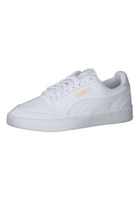 Buty do chodzenia dla dzieci Puma Shuffle JR. Zapięcie: sznurówki. Kolor: wielokolorowy, biały. Materiał: syntetyk, materiał. Szerokość cholewki: normalna. Sport: turystyka piesza #1
