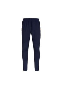 Spodnie dresowe Kappa Gaschin. Kolor: niebieski. Materiał: dresówka. Sport: bieganie, piłka nożna #1