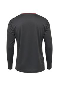 Hummel koszulka męska z długim rękawem hml Authentic Poly Jersey. Kolor: szary. Materiał: jersey. Długość rękawa: długi rękaw. Długość: długie. Sport: fitness