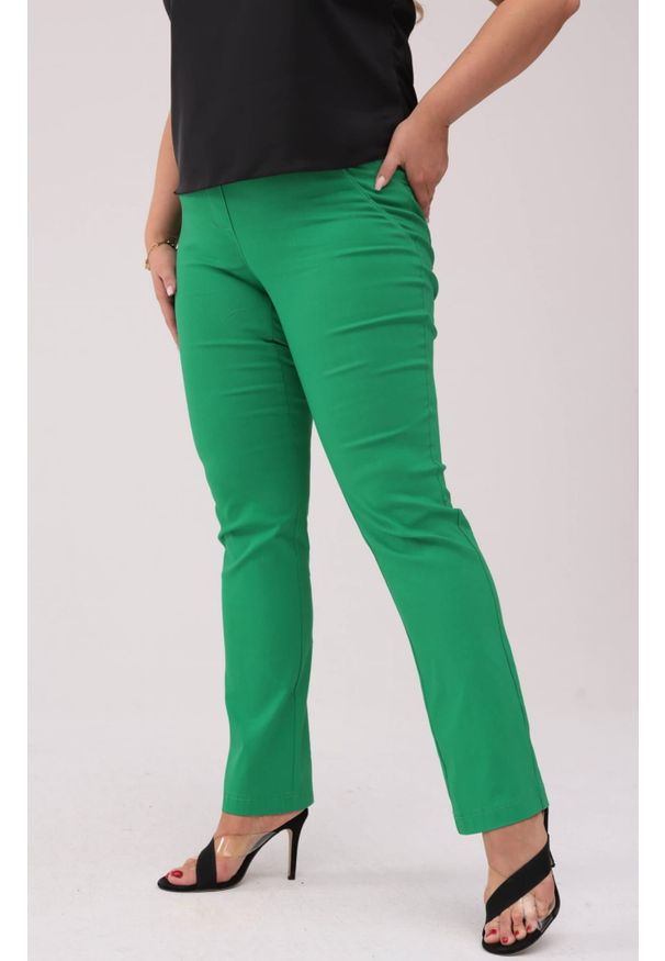 Nasi partnerzy - Zielone spodnie Nilda z prostą nogawką wysoki stan PLUS SIZE XXL. Okazja: na spacer, do pracy, na co dzień. Stan: podwyższony. Kolekcja: plus size. Kolor: zielony. Materiał: włókno, elastan, tkanina, materiał, poliester, wiskoza. Długość: krótkie. Styl: casual