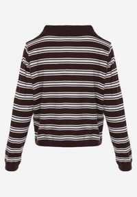 Renee - Brązowy Pasiasty Sweter z Kołnierzem i Guzikami Marlea. Okazja: na randkę. Kolor: brązowy. Materiał: wiskoza, skóra, jeans. Styl: elegancki, klasyczny #5