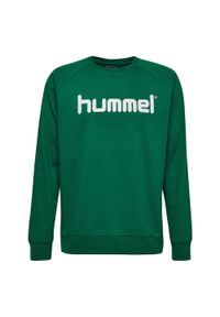 Bluza do piłki ręcznej dla dzieci Hummel Cotton Logo. Kolor: wielokolorowy, zielony, biały. Materiał: prążkowany. Sport: fitness