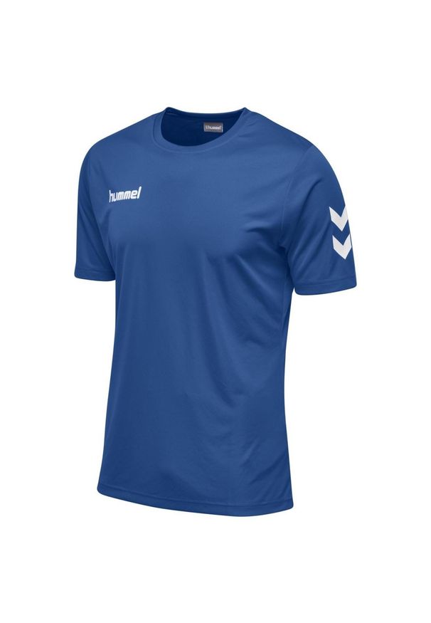 Koszulka z krótkim rękawem sportowa męska Hummel Core Polyester Tee. Kolor: niebieski. Długość rękawa: krótki rękaw. Długość: krótkie