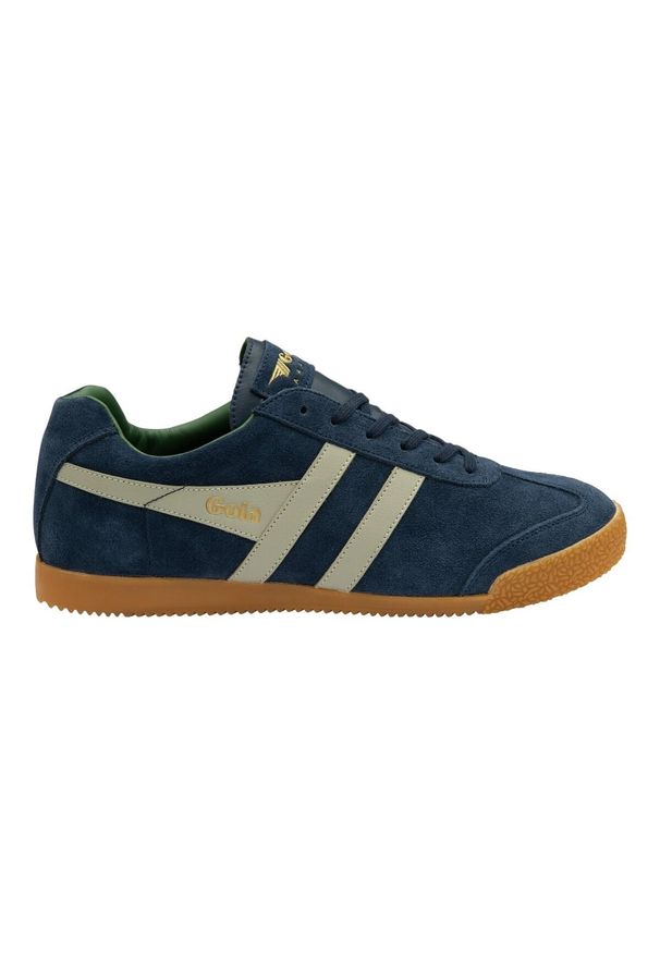 Buty do chodzenia męskie Gola Harrier. Kolor: wielokolorowy, niebieski. Materiał: zamsz, materiał. Szerokość cholewki: normalna. Sport: turystyka piesza