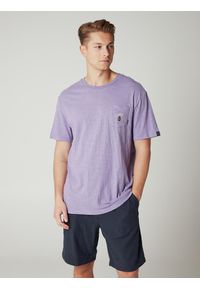 Koszulka męska Protest PRTBRADIE t-shirt. Kolor: fioletowy. Sport: turystyka piesza