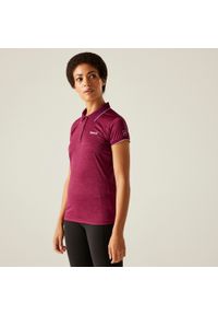 Regatta - Damska koszulka turystyczna polo Remex II. Typ kołnierza: polo. Kolor: niebieski, turkusowy, wielokolorowy. Materiał: materiał #1