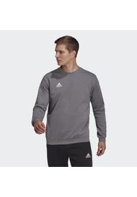 Adidas - Bluza adidas Entrada 22. Kolor: szary. Sport: fitness #1