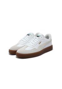 Puma Buty Ascenso 40330704. Kolor: brązowy
