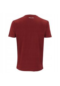 TECNIFIBRE - Koszulka tenisowa dziecięca Tecnifibre Club Tee T-shirt. Kolor: czerwony, biały, wielokolorowy. Sport: tenis