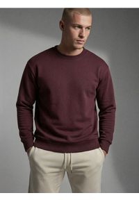 Sinsay - Bluza crewneck basic - bordowy. Kolor: czerwony #1