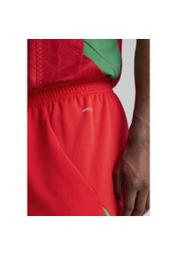 Puma - Męskie szorty Maroko 2025 PUMA Red Archive Green. Kolor: czerwony, wielokolorowy, zielony