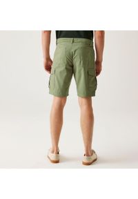 Regatta - Spodenki turystyczne męskie Ruwan. Kolor: zielony. Materiał: tkanina, bawełna. Sport: turystyka piesza #2