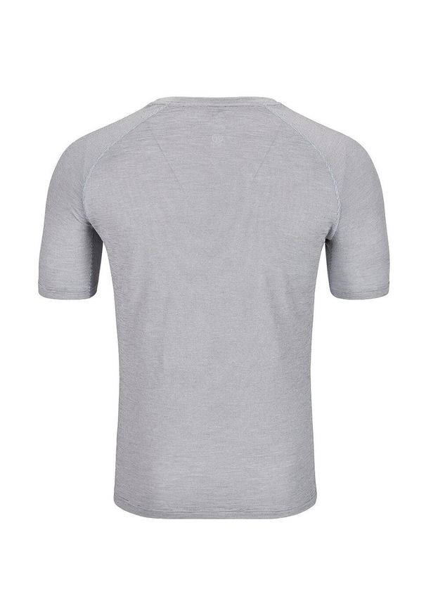 Koszulka biegowa męska Odlo X-Alp PW 115 T-Shirt Crew Neck. Kolor: szary. Sport: bieganie