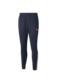 Spodnie Puma Teamliga Training Pants, Mężczyźni. Kolor: niebieski. Materiał: materiał, poliester