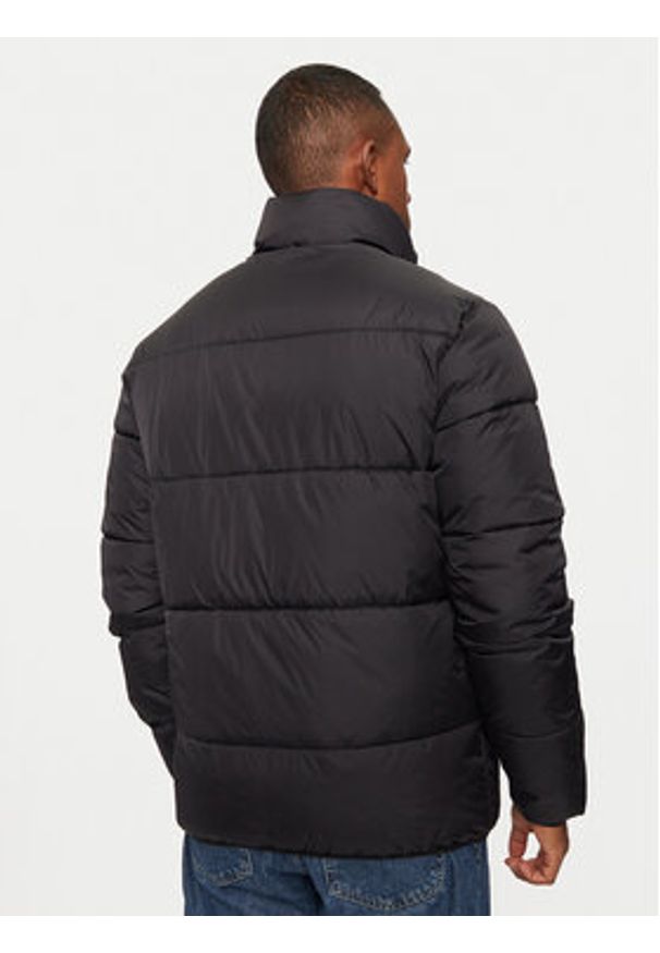Whistler Kurtka zimowa Floter M Puffer W244077 Czarny Regular Fit. Kolor: czarny. Materiał: syntetyk. Sezon: zima