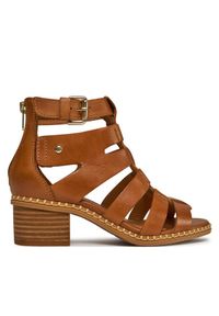 Sandały Pikolinos. Kolor: brązowy #1