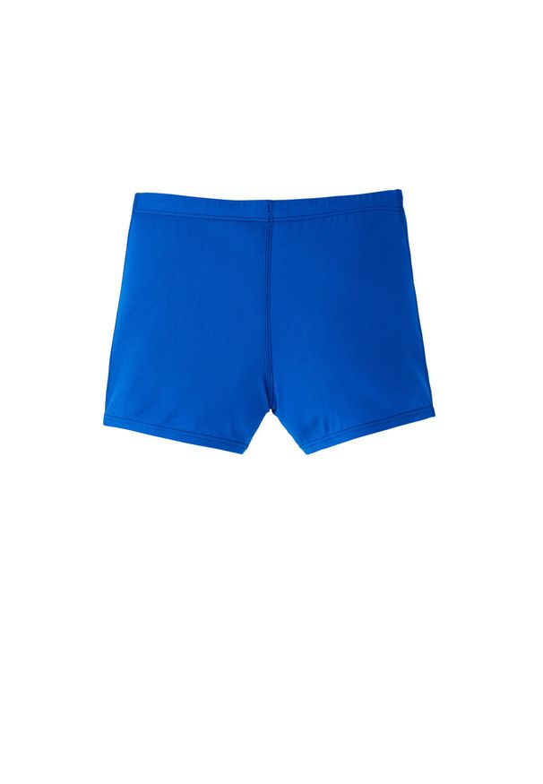 Spodenki do pływania Nike Poly Solid Jr, Niebieski, Dzieci. Kolor: niebieski
