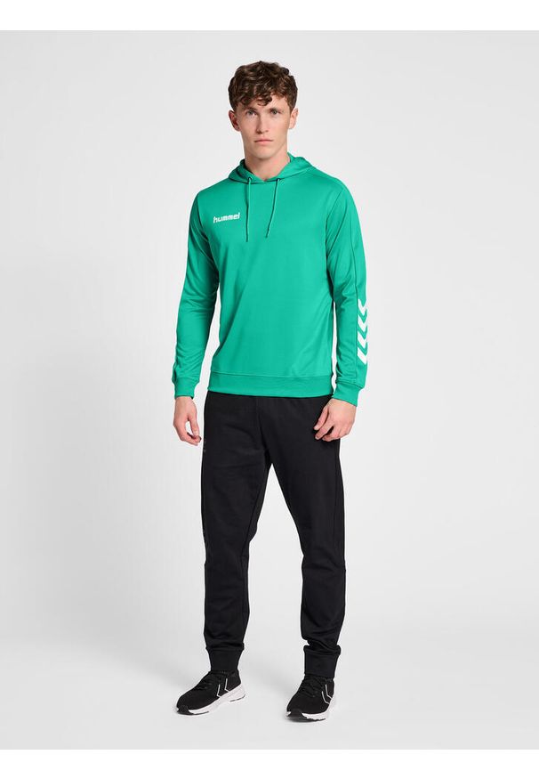 Bluza do piłki ręcznej męska Hummel hml PROMO Poly z kapturem. Typ kołnierza: kaptur. Kolor: zielony. Sport: piłka ręczna