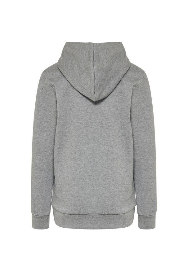 Bluza dziecięca z kapturem Hummel hmlcuatro. Typ kołnierza: kaptur. Kolor: szary