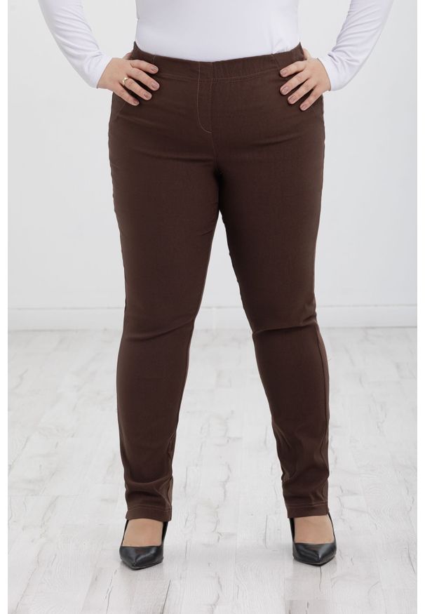 Nasi partnerzy - Brązowe spodnie Nilda z prostą nogawką wysoki stan PLUS SIZE XXL. Okazja: na spacer, na co dzień, do pracy. Stan: podwyższony. Kolekcja: plus size. Kolor: brązowy. Materiał: tkanina, elastan, włókno, materiał, poliester, wiskoza. Długość: krótkie. Styl: casual
