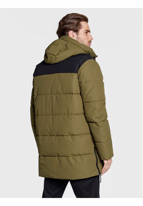 Halti Płaszcz zimowy Linjat 065-0419 Zielony Regular Fit. Kolor: zielony. Materiał: syntetyk. Sezon: zima