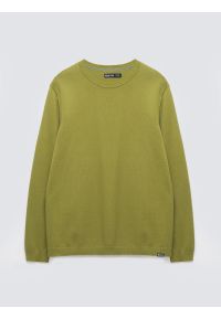 Big-Star - Sweter męski bawełniany zielony Simoner 301. Okazja: na co dzień. Kolor: zielony. Materiał: bawełna. Długość rękawa: długi rękaw. Długość: długie. Wzór: gładki, aplikacja, ze splotem. Styl: casual, klasyczny #2