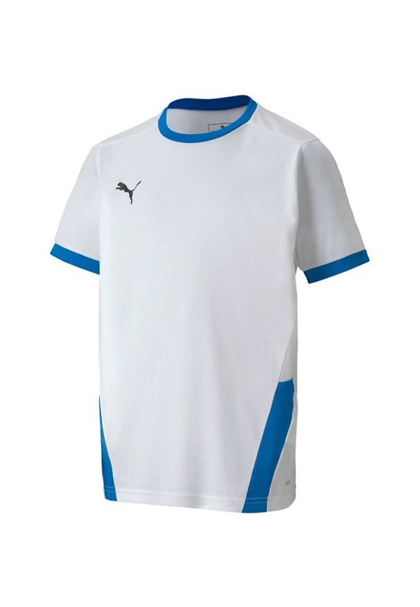 Podkoszulek Puma Teamgoal 23 Jersey Jr, Dzieci. Kolor: niebieski, wielokolorowy, biały. Materiał: jersey