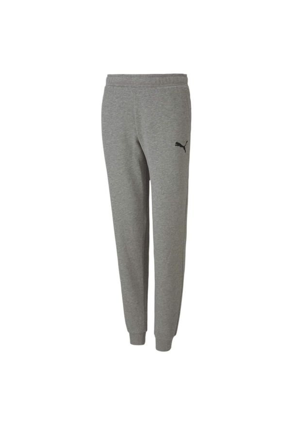 Puma - Spodnie Do Joggingu Dziecięce Team Goal. Kolor: szary. Sport: bieganie