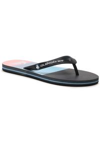 Japonki plażowe męskie Quiksilver Molokai Panel. Okazja: na plażę. Kolor: niebieski. Styl: sportowy #1