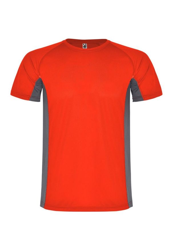 ROLY - Męska Koszulka Sportowa Z Krótkim Rękawem Shanghai. Kolor: wielokolorowy, szary, czerwony. Długość rękawa: krótki rękaw. Długość: krótkie. Sport: turystyka piesza