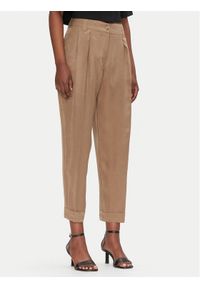 ACCESS FASHION Spodnie materiałowe 53-5025-235 Zielony Regular Fit. Kolor: zielony. Materiał: lyocell