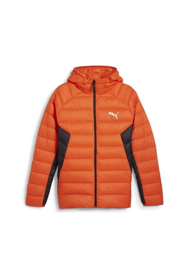 Puma - Męska kurtka puchowa PackLITE PUMA Redmazing Red. Kolor: czerwony. Materiał: puch. Sport: turystyka piesza