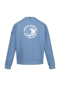 Regatta - Bluza Męska Z Motywem Fali Dekolt W Szpic Nithsdale. Kolor: fioletowy. Styl: sportowy. Sport: turystyka piesza