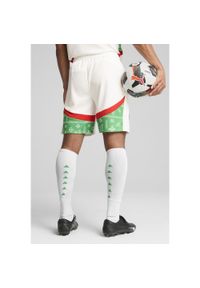 Puma - Szorty Maroc CAN 2025. Kolor: biały, czerwony, wielokolorowy, zielony. Sport: piłka nożna