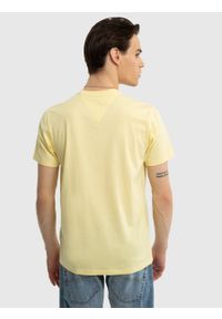 Big-Star - Koszulka męska bawełniana żółta Zorky 200. Okazja: na co dzień. Kolor: żółty. Materiał: bawełna. Wzór: nadruk. Sezon: lato. Styl: casual, elegancki #3
