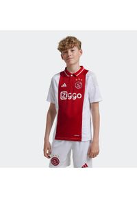 Adidas - Koszulka piłkarska dla dzieci ADIDAS Ajax domowa sezon 24/25. Wzór: paski. Sezon: lato. Sport: piłka nożna