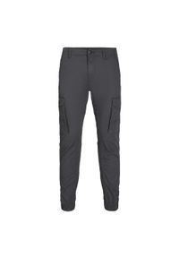 Spodnie Jack & Jones Cargo asfaltowe. Kolor: biały, wielokolorowy. Sport: skateboard #1